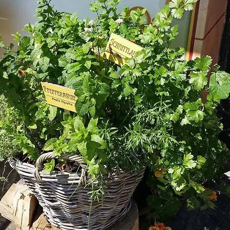 Agerhof