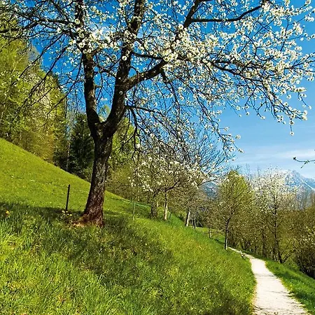 بيت ضيافة Agerhof سول