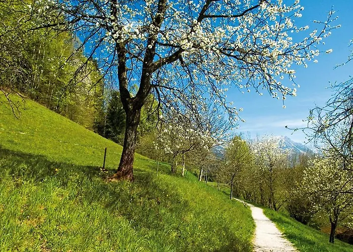 Pensión Agerhof Söll