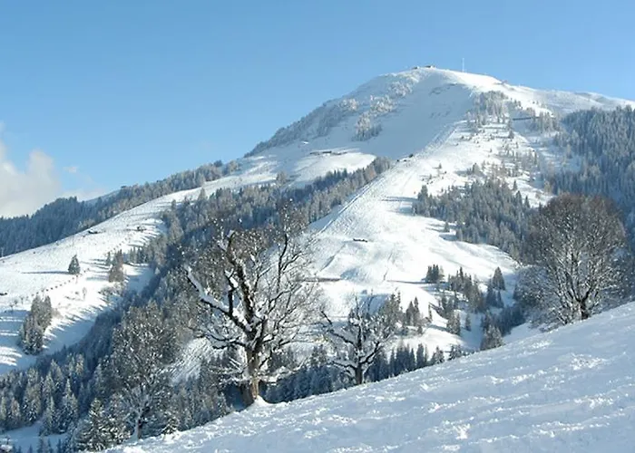 Pensión Agerhof Söll